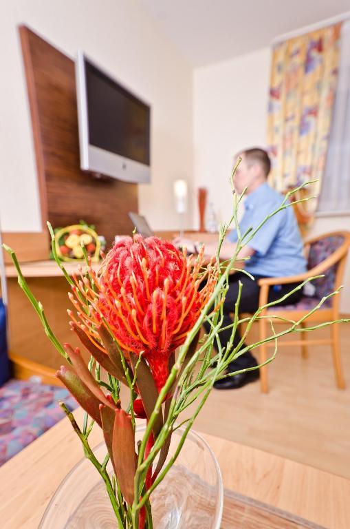 Serviced Apartments Kurpfalzhof Oftersheim Δωμάτιο φωτογραφία