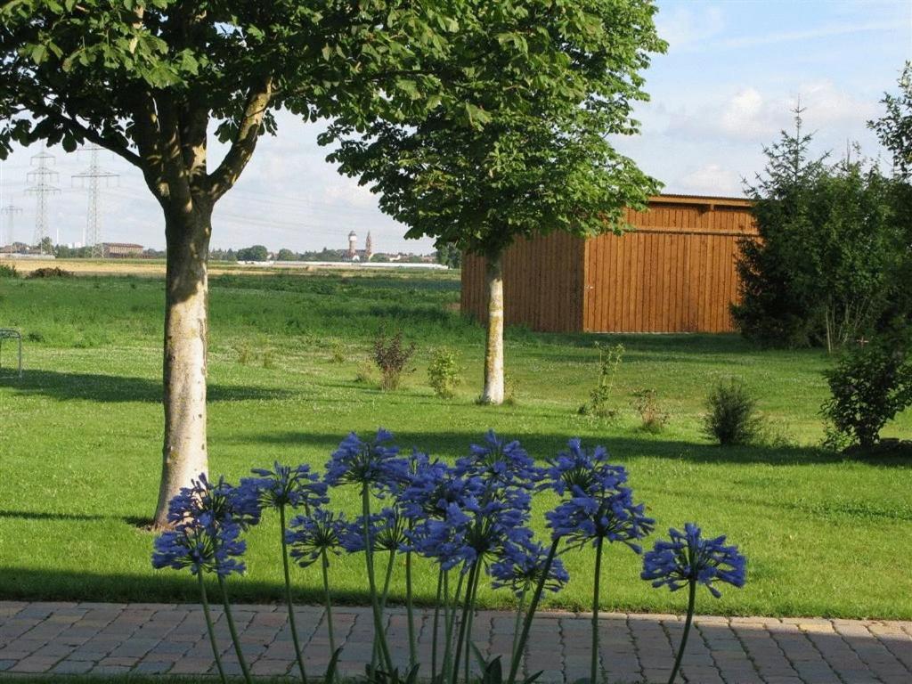 Serviced Apartments Kurpfalzhof Oftersheim Εξωτερικό φωτογραφία