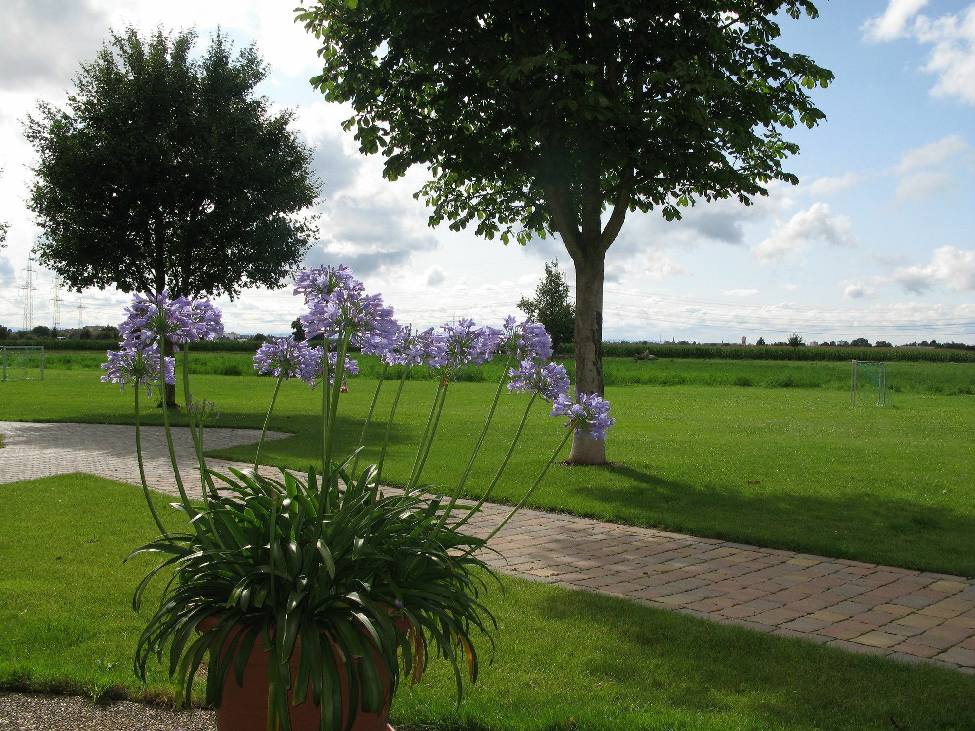 Serviced Apartments Kurpfalzhof Oftersheim Εξωτερικό φωτογραφία
